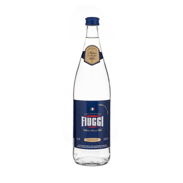 FIUGGI Maden Suyu