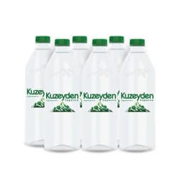 Kuzeyden Premium Doğal Mineralli Su